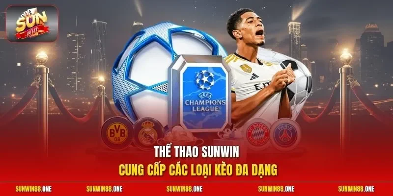 Thể thao Sunwin cung cấp các loại kèo đa dạng